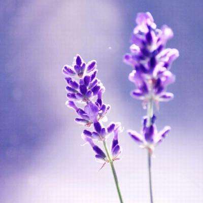 极速赛车游戏手机app下载