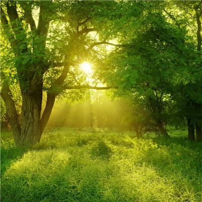 安博体育·(中国)官方网站