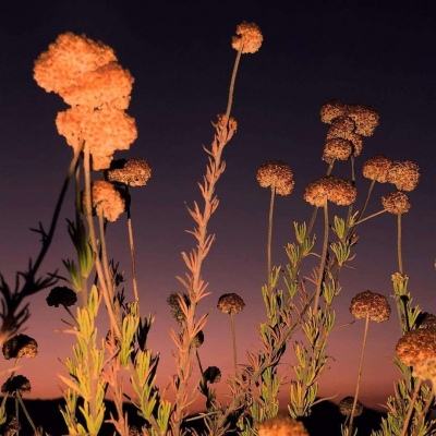 极速赛车游戏手机app下载截图